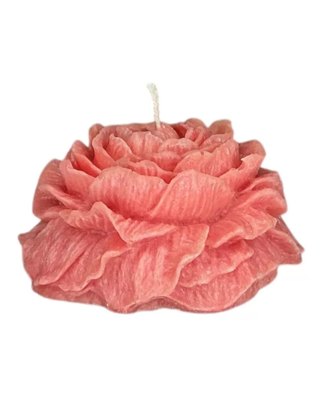 Palmová svíčka pivoňka růžová – dekorativní | Křídla naděje