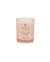 Vonná svíčka Chesapeake Bay Stillness & Purity 3 malá – aromaterapie pro klid a čistotu