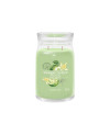 Yankee Candle Vanilla Lime Signature (velký) – svěží vanilka s osvěžující limetkou