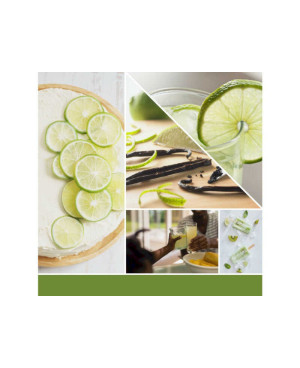 Yankee Candle Vanilla Lime Signature (střední) – svěží kombinace vanilky a limetky