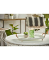 Yankee Candle Vanilla Lime Signature Tumbler (velký) – svěží vůně limetky a sladké vanilky