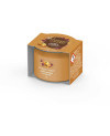 Yankee Candle Golden Pumpkin votivní svíčka ve skle – hřejivá vůně dýně a koření